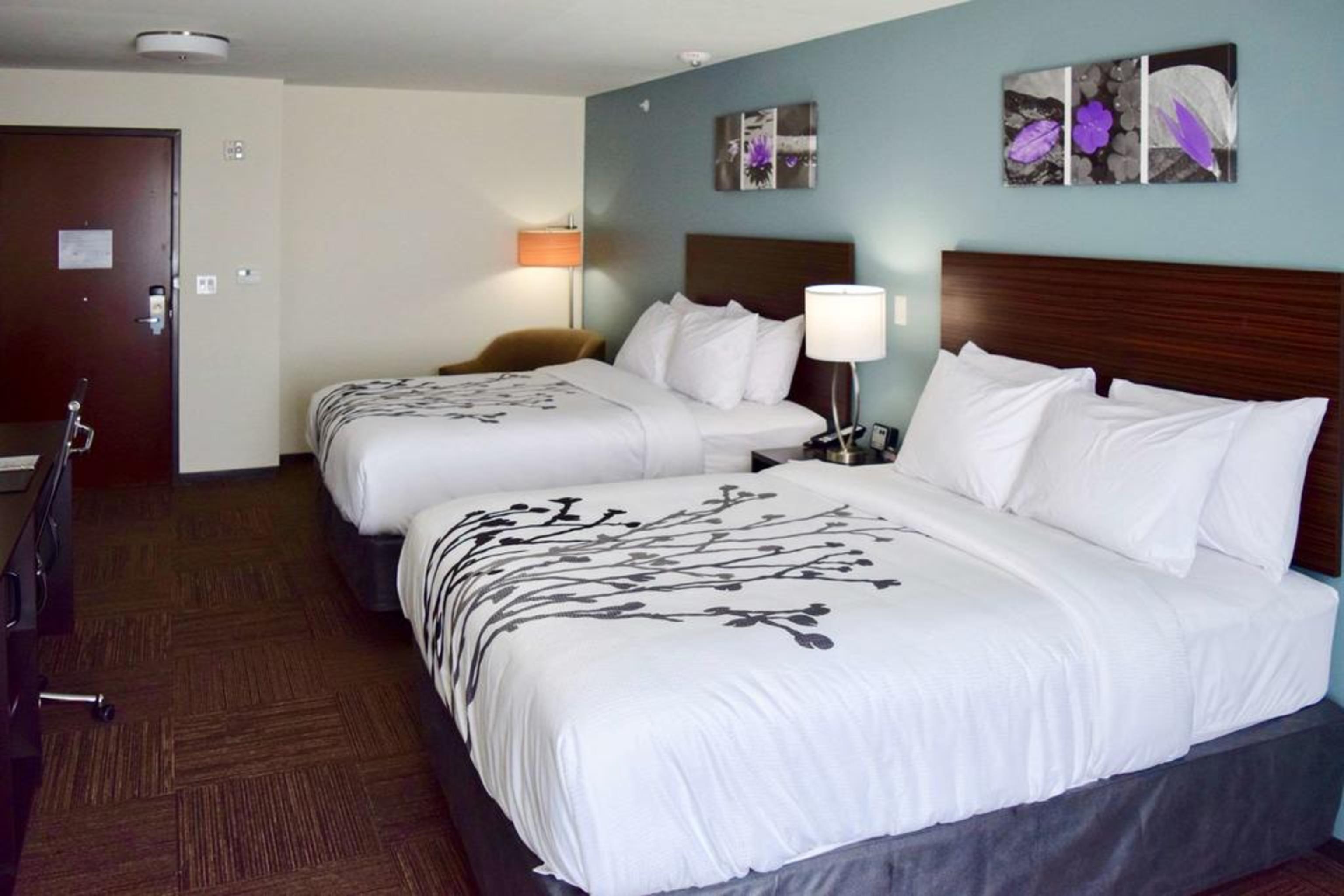 יוסטון Sleep Inn & Suites Near Westchase מראה חיצוני תמונה
