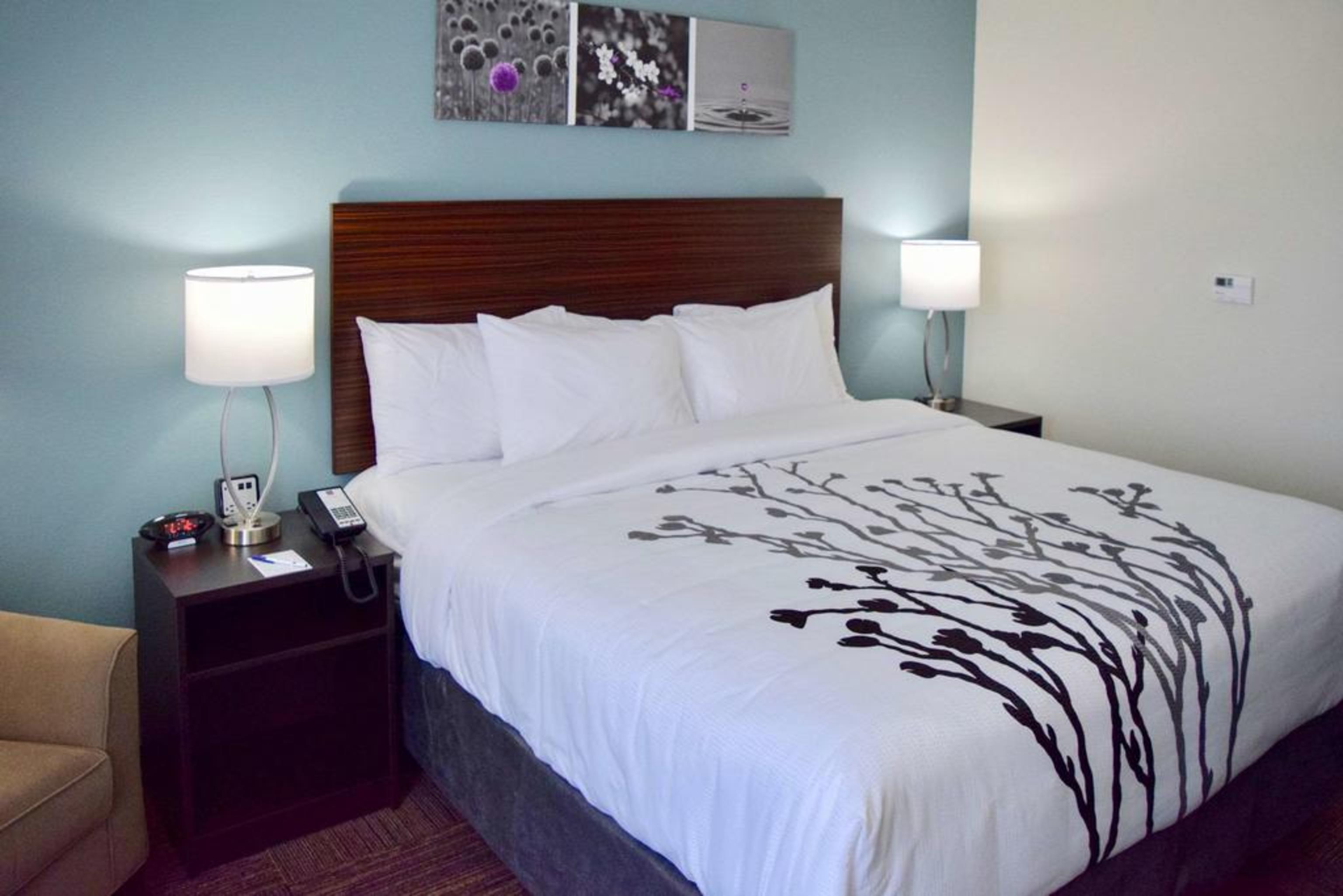 יוסטון Sleep Inn & Suites Near Westchase מראה חיצוני תמונה