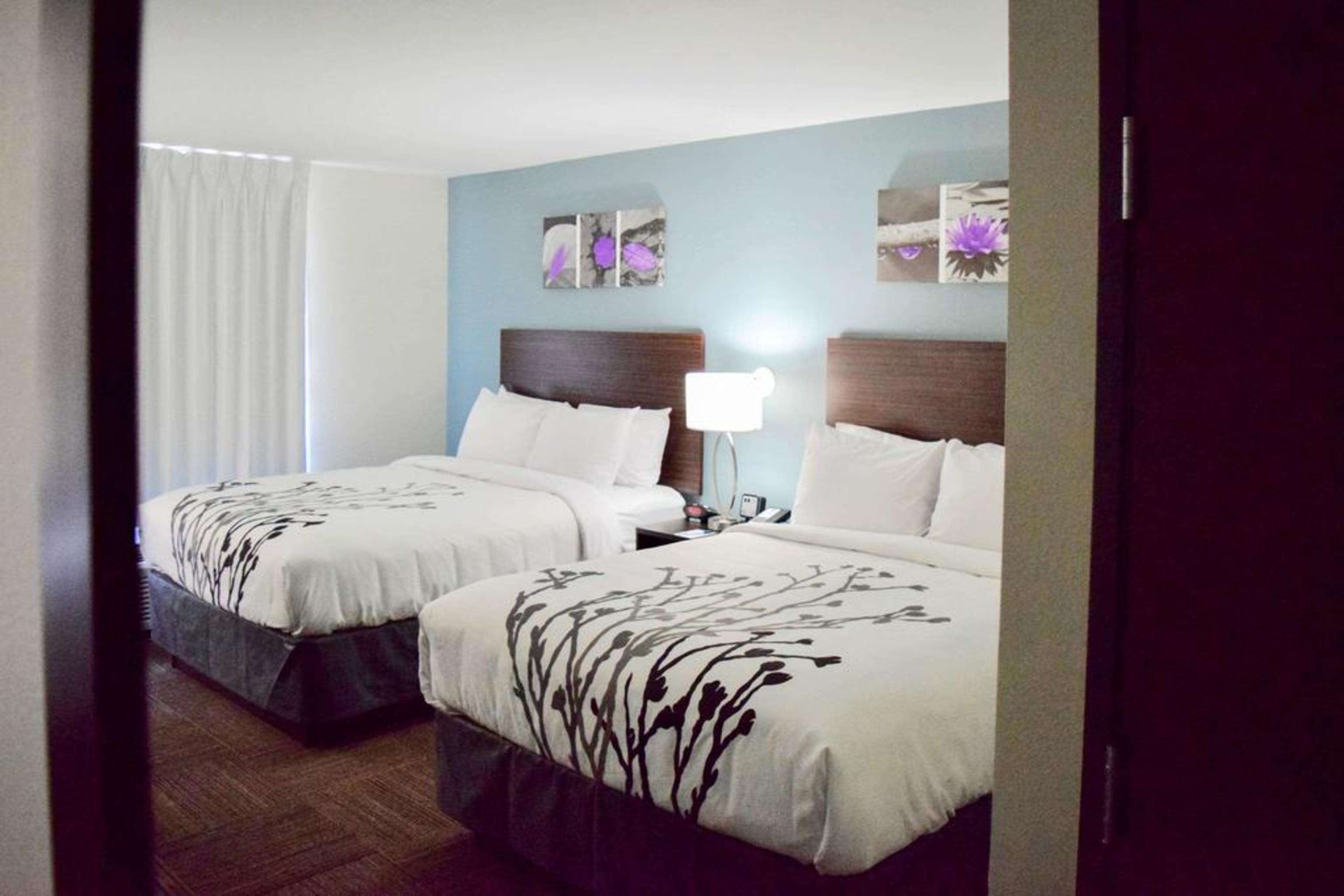 יוסטון Sleep Inn & Suites Near Westchase מראה חיצוני תמונה